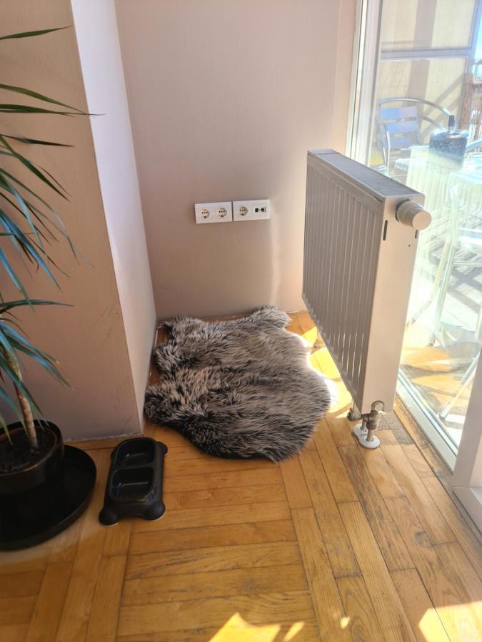 Apartman *Joy* Osijek Exterior photo